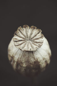 Close-up of bread against black background