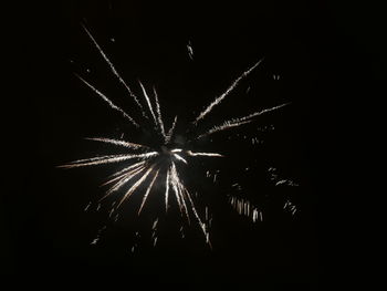 Low angle view of firework display at night