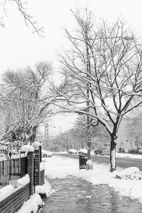 Bare trees by snow covered buildings against sky