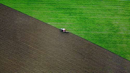 High angle view of person on field