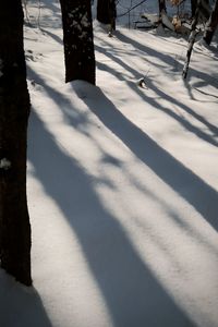 Low section of people on snow