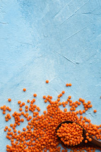 Close-up of orange berries against blue background