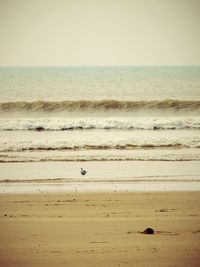 Scenic view of beach against clear sky