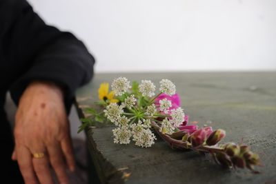 Close-up of hand holding flowering plant