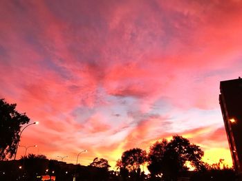 Low angle view of silhouette trees against dramatic sky