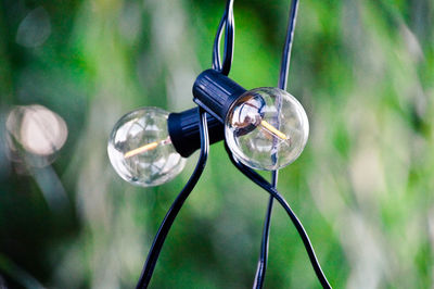 Close-up of light bulb