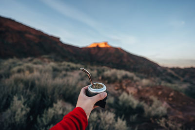 Midsection of person holding ice cream against mountains