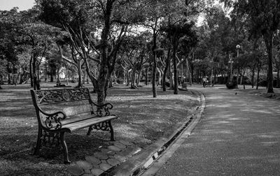 Empty road in park