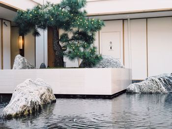 Plants by lake against building