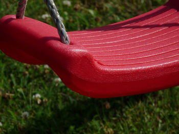 Close up of red grass