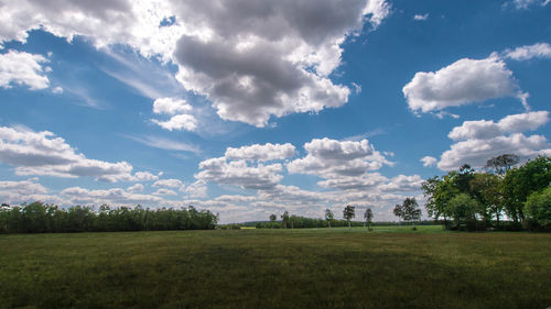 Scenic view of field against sky