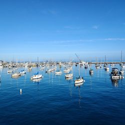 Sailboats moored in sea against sky