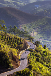 High angle view of road amidst trees