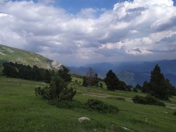 Scenic view of field against sky