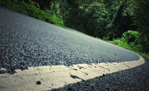 Close-up of road by trees
