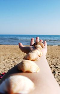 Low section of person on beach against clear sky