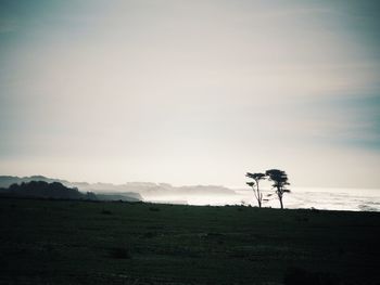 Scenic view of field against sky at sunset