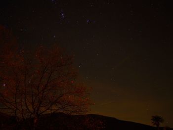 Low angle view of silhouette trees against sky at night