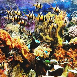 Full frame shot of water