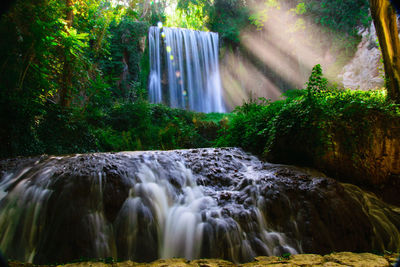 Scenic view of waterfall in forest