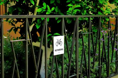 Close-up of information sign on plants