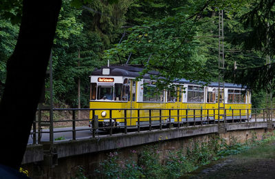 Train on railroad track amidst trees in forest