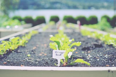 Close-up of sign board
