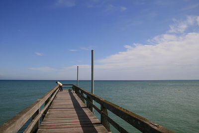 Person leaning on pier over sea against sky