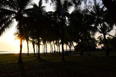 Silhouette palm trees on field against sky at sunset