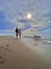 Rear view of dog on beach