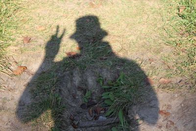 Shadow of tree on field