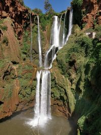 Scenic view of waterfall in forest