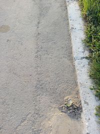 High angle view of footpath by sea