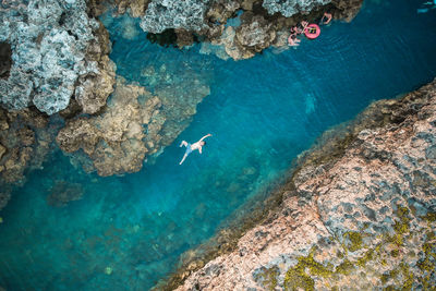 High angle view of fishes swimming in sea