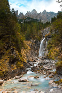 Scenic view of waterfall in forest