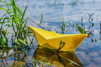 Yellow paper boat aground near the river bank in the grass