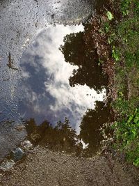 Reflection of trees on puddle against sky