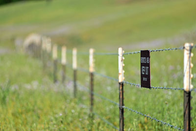 Metal fence on field