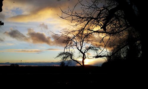 Silhouette trees against sky during sunset