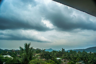 Palm trees against cloudy sky