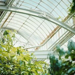 Low angle view of plants