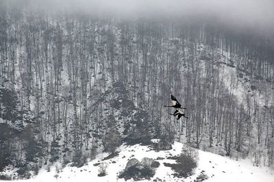 Scenic view of snow covered landscape