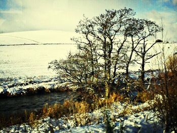 Scenic view of snow covered landscape