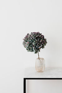 Close-up of vase on table against white background