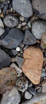 High angle view of stones