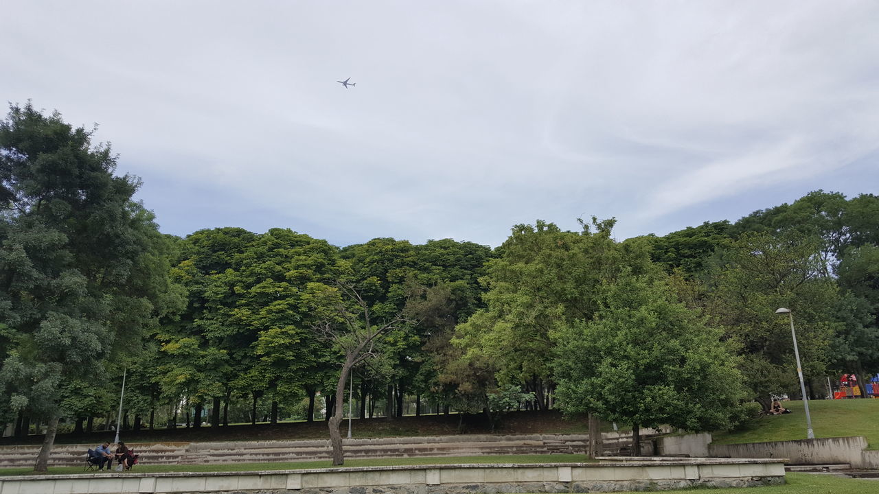 TREES AND PLANTS GROWING IN A FIELD