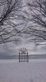 Bare tree on snow covered land against sky