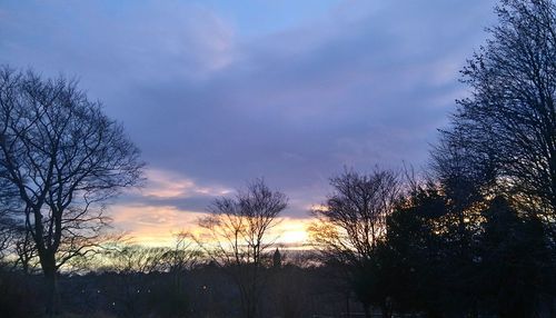 Silhouette trees against sky at sunset