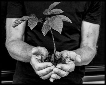 Close-up of man holding plant