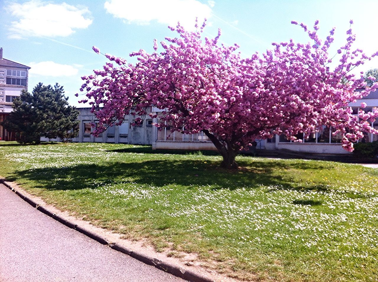 OCÉANE LE FLOCH 🌼